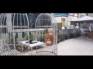 北角 - 馬寶閣 06