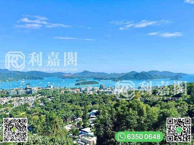 西贡 - 茅坪新村 04