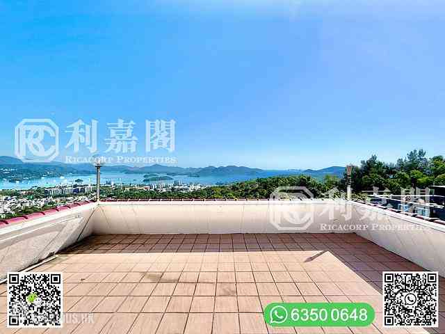 西贡 - 茅坪新村 29