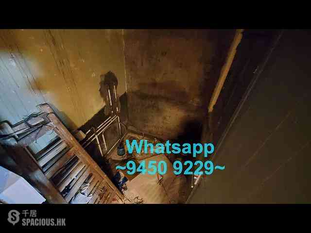 Poho - 7-9, Upper Station Street 12