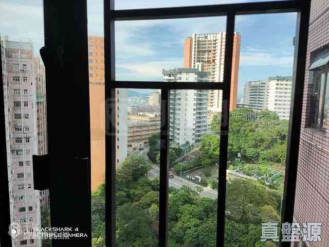 Braemar Hill - Evelyn Towers 03