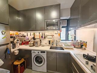 Tai Hang - 1, Tai Hang Road 05