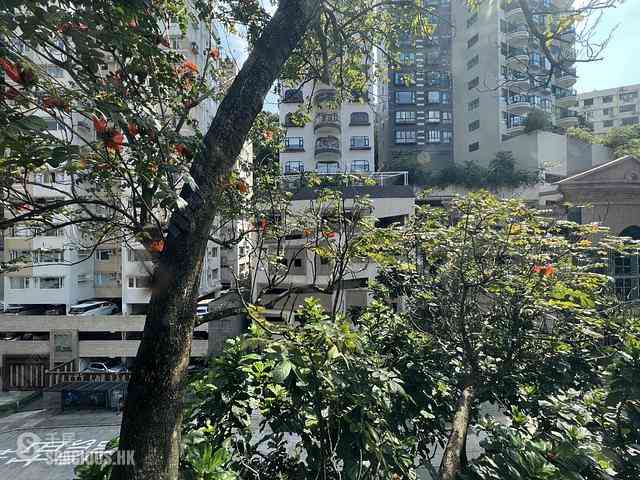 大坑 - 優悠台 01