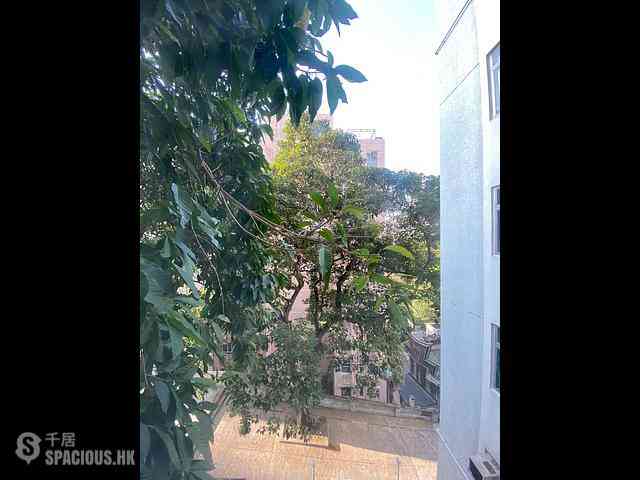 Kennedy Town - To Li Garden 14