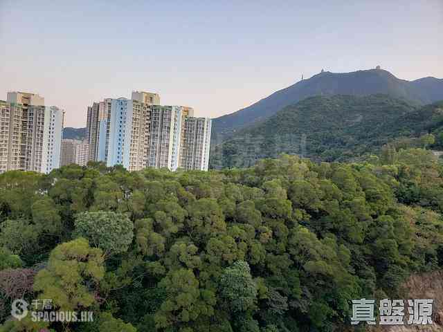 Quarry Bay - Kornhill Block G 21