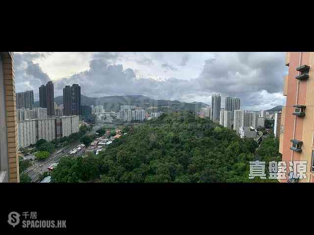 Tai Wai - Greenview Garden Block C 01
