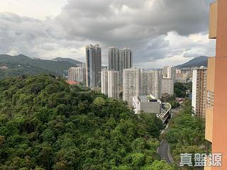 Tai Wai - Greenview Garden Block C 02