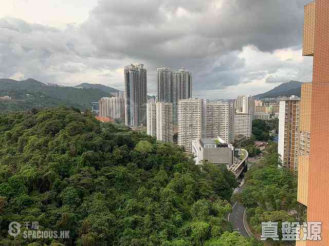 Tai Wai - Greenview Garden Block C 02