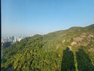 Tai Hang - Serenade Block 1 06