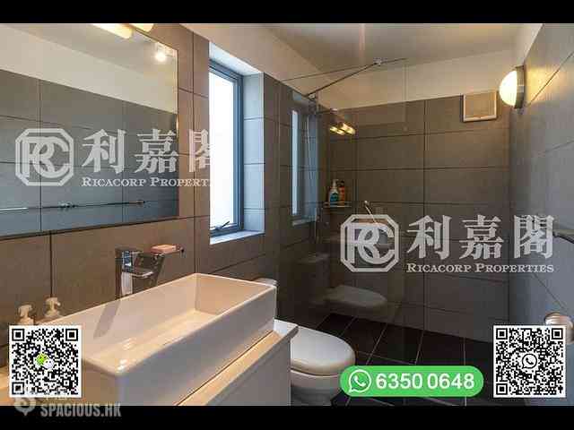西贡 - 輋径笃路 19
