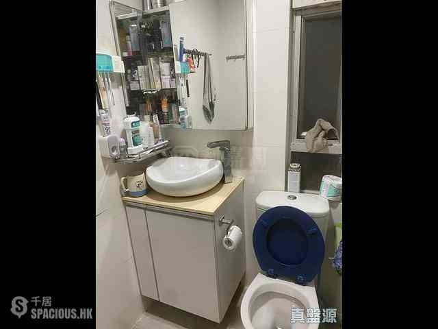 Sha Tin - Lucky Plaza Shung Lam Court (Block A1) 08