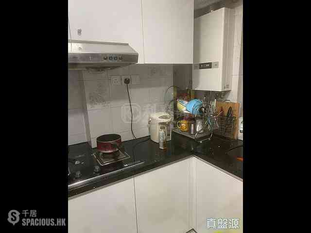 Sha Tin - Lucky Plaza Shung Lam Court (Block A1) 07