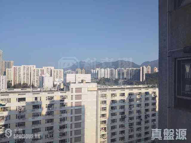 Sha Tin - Lucky Plaza Yae Lam Court (Block B2) 02
