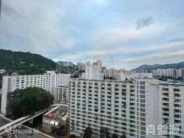 Sha Tin - Lucky Plaza Yae Lam Court (Block B2) 01