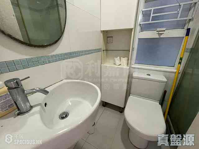 Sha Tin - Lucky Plaza Yae Lam Court (Block B2) 07