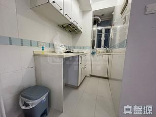 Sha Tin - Lucky Plaza Yae Lam Court (Block B2) 06