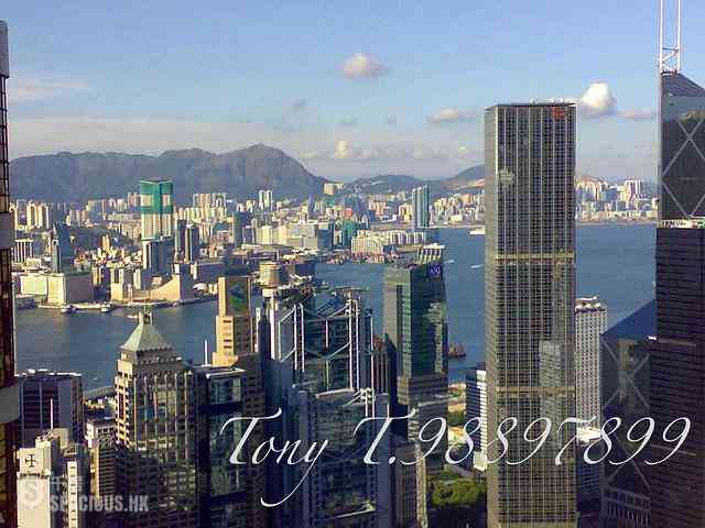 中半山 - The Mayfair 01