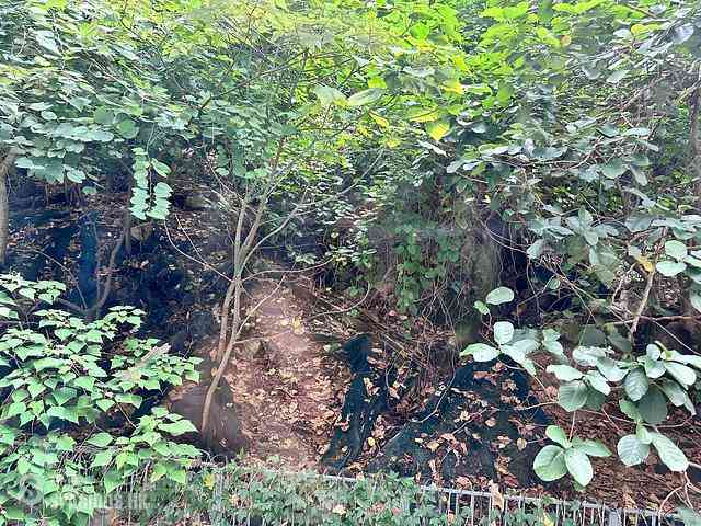 Tin Hau - Dragon Court Block A 06