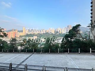 跑馬地 - 樂景臺37-41號 10