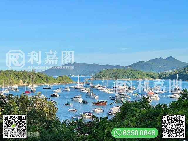 西贡 - 金菊台 02