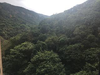 Tai Hang - Ronsdale Garden 07