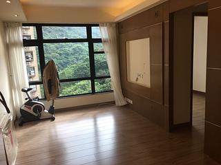 Tai Hang - Ronsdale Garden 10