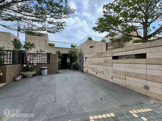 Chung Hom Kok - Scape 02