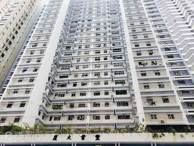 Shek Tong Tsui - Fung Yip Building 03