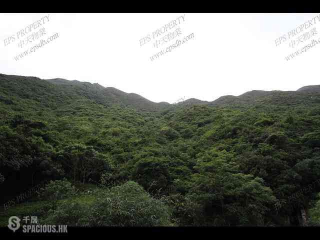 愉景湾 - 愉景湾5期 颐峰 菘山阁 (7座) 12