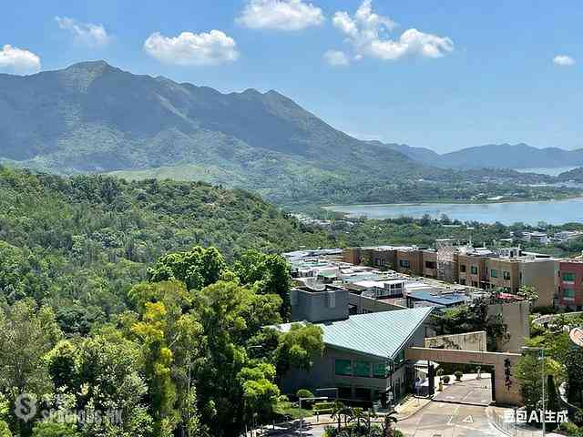 Ting Kok - Tycoon Place 08