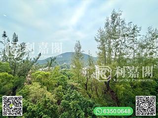 Clear Water Bay - Hillview Court 02