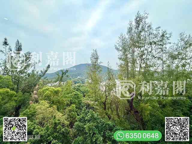 Clear Water Bay - Hillview Court 02