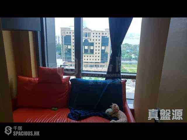 Causeway Bay - Jones Hive 01
