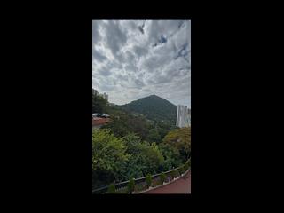 薄扶林 - Mount Pokfulam 10