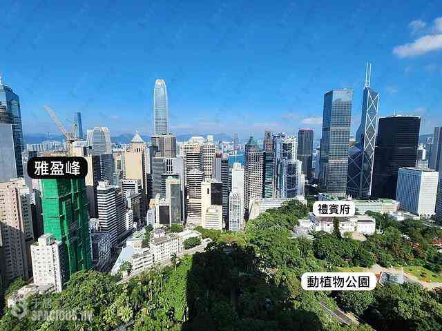 中环 - 雅盈峰 01