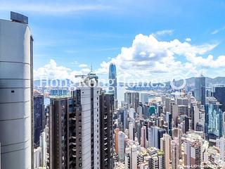 Chung Hom Kok - Scape 02