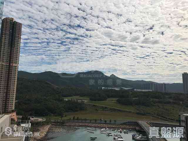 Tseung Kwan O - Savannah Block 2A 01