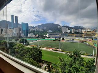 Happy Valley - Race Tower 12