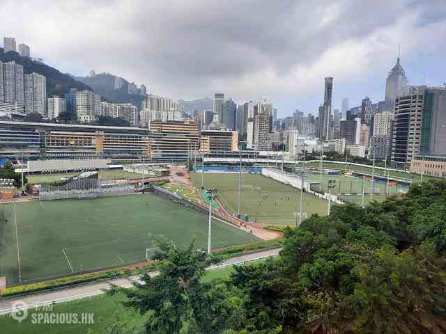 Happy Valley - Race Tower 14