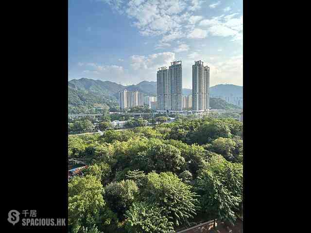 Sha Tin - New Town Plaza Phase 3 Pittosporum Court (Block 1) 06