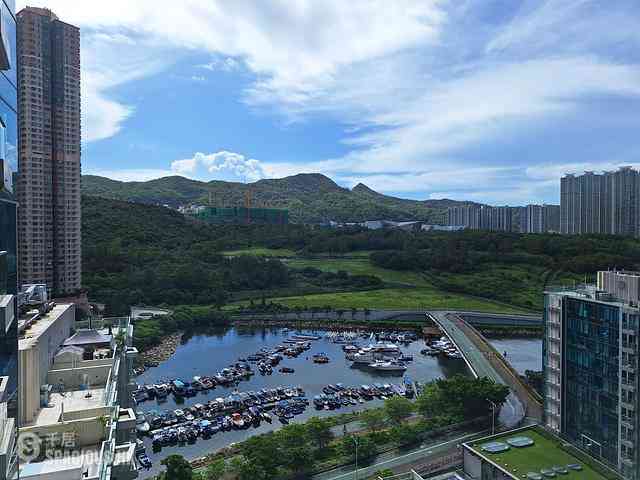 Tseung Kwan O - Savannah Block 2A 01