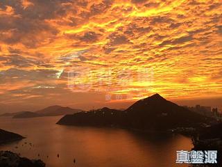 淺水灣 - 淺水灣道37號2座 05