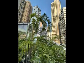 Wan Chai - Kam Tak Mansion 16