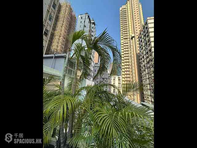 Wan Chai - Kam Tak Mansion 16