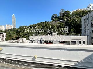 跑马地 - 金辉园 11