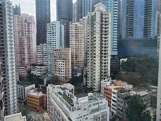Poho - Goodview Court 02