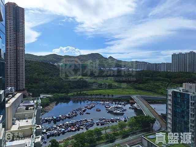 Tseung Kwan O - Savannah Block 2A 01
