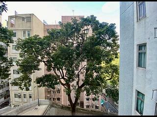 坚尼地城 - 桃李园 09
