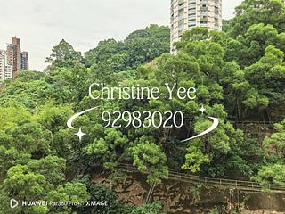 Tai Hang - Dragon Centre 04