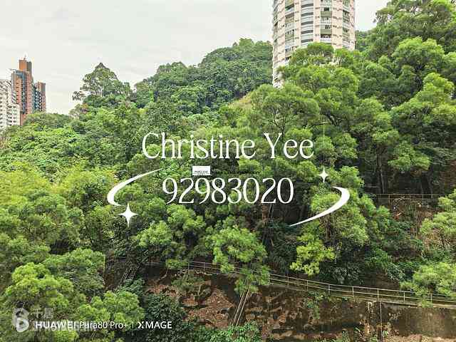 Tai Hang - Dragon Centre 04